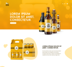 Product Launch